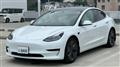 2021 Tesla Motors Others