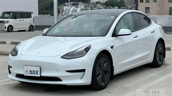 2021 Tesla Motors Others