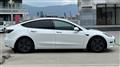 2021 Tesla Motors Others