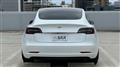 2021 Tesla Motors Others