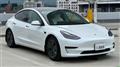 2021 Tesla Motors Others
