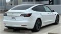 2021 Tesla Motors Others