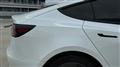 2021 Tesla Motors Others