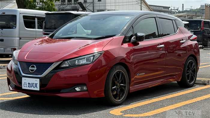 2018 Nissan Leaf