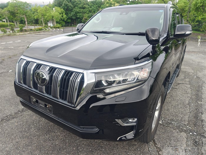 2019 Toyota Land Cruiser Prado