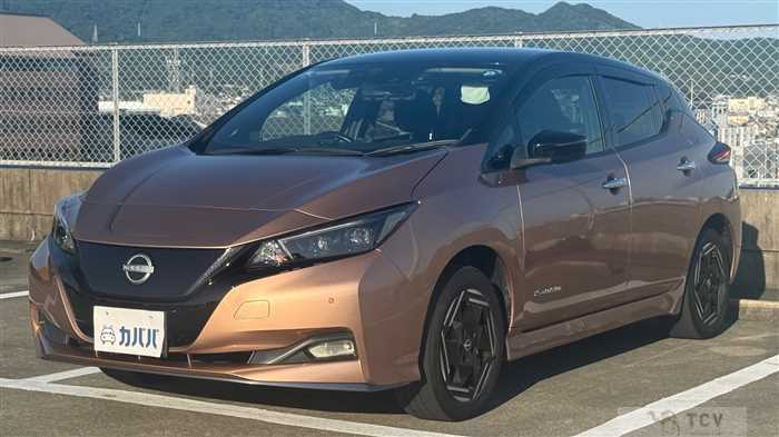 2022 Nissan Leaf