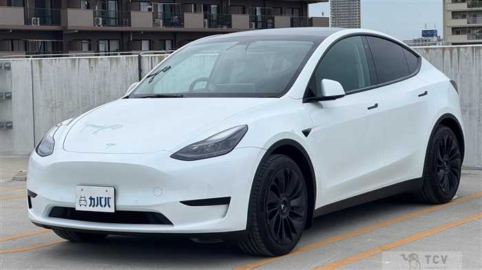2023 Tesla Motors Others
