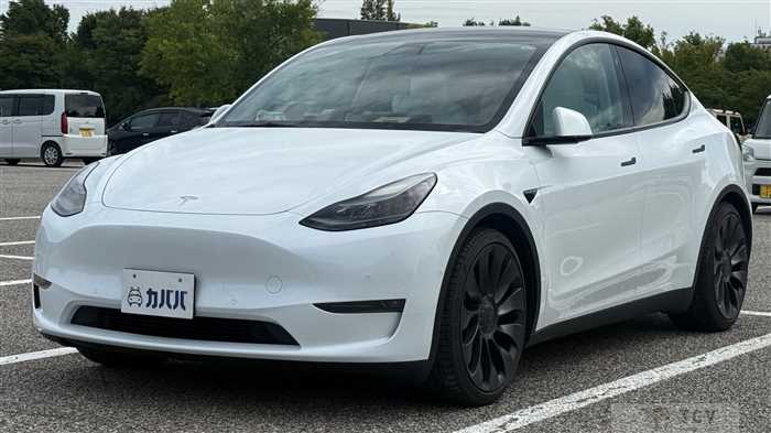 2023 Tesla Motors Others