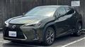 2020 Lexus UX