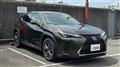 2020 Lexus UX
