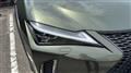 2020 Lexus UX