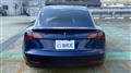 2021 Tesla Motors Others
