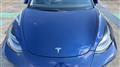 2021 Tesla Motors Others
