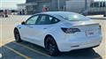 2020 Tesla Motors Others