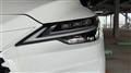 2025 Lexus RX