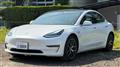 2020 Tesla Motors Others