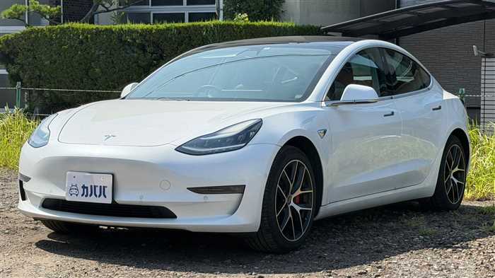 2020 Tesla Motors Others