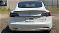 2020 Tesla Motors Others