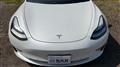 2020 Tesla Motors Others