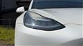 2020 Tesla Motors Others