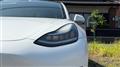2020 Tesla Motors Others