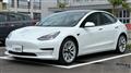 2021 Tesla Motors Others