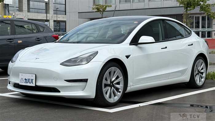 2021 Tesla Motors Others