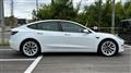 2021 Tesla Motors Others