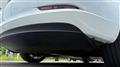 2021 Tesla Motors Others