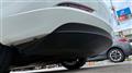 2021 Tesla Motors Others