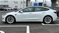 2021 Tesla Motors Others