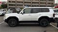 2025 Toyota Land Cruiser