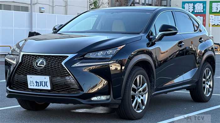 2016 Lexus NX