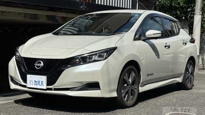 2021 Nissan Leaf