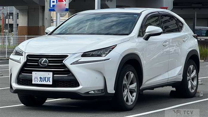 2015 Lexus NX