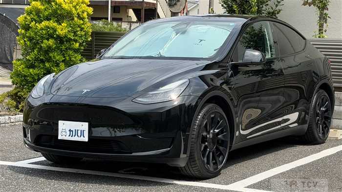 2024 Tesla Motors Others