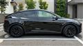 2024 Tesla Motors Others