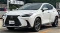 2025 Lexus NX