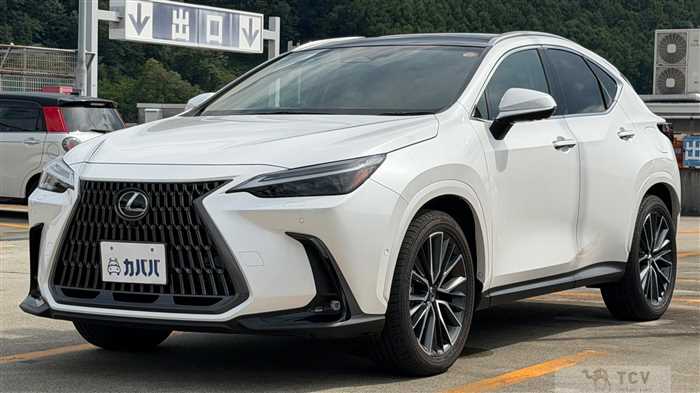 2025 Lexus NX