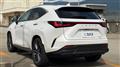 2025 Lexus NX