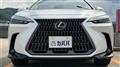 2025 Lexus NX