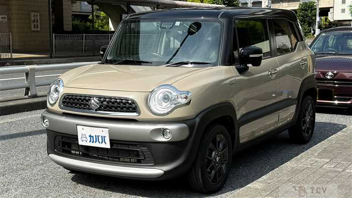 2019 Suzuki Suzuki Others