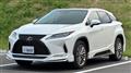 2020 Lexus RX