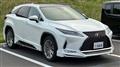 2020 Lexus RX