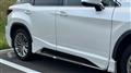 2020 Lexus RX