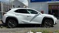 2019 Lexus UX
