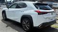 2019 Lexus UX