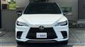 2025 Lexus RX