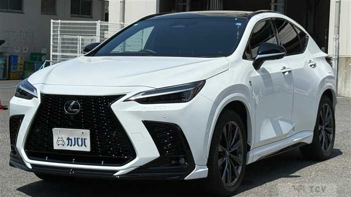 2024 Lexus NX