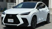 2024 Lexus NX
